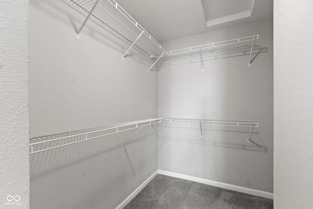 12815 Lamboll St, Fishers, IN 46038 - photo 34