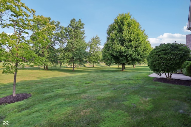 15482 Bridgewater Club Blvd, Carmel, IN 46033 - photo 4