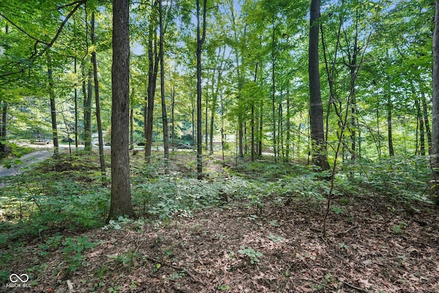 5475 Lincoln Rd, Martinsville, IN 46151 - photo 3