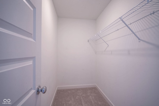 17279 Gresham Ln, Westfield, IN 46074 - photo 17
