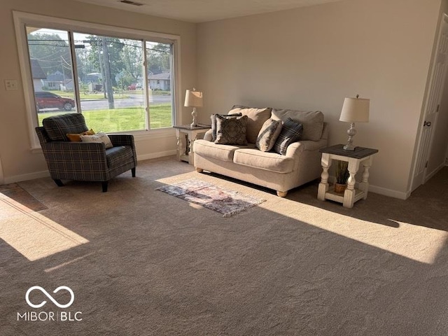 4117 Columbus Ave, Anderson, IN 46013 - photo 4