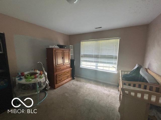 6618 Furnas Rd, Indianapolis, IN 46221 - photo 13
