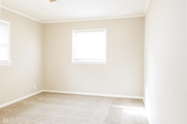 407 E Lane St, Saint Paul, IN 47272 - photo 16