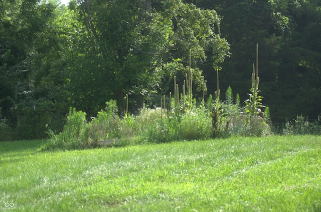 5397 E County Road 1000 N, Roachdale, IN 46172 - photo 19