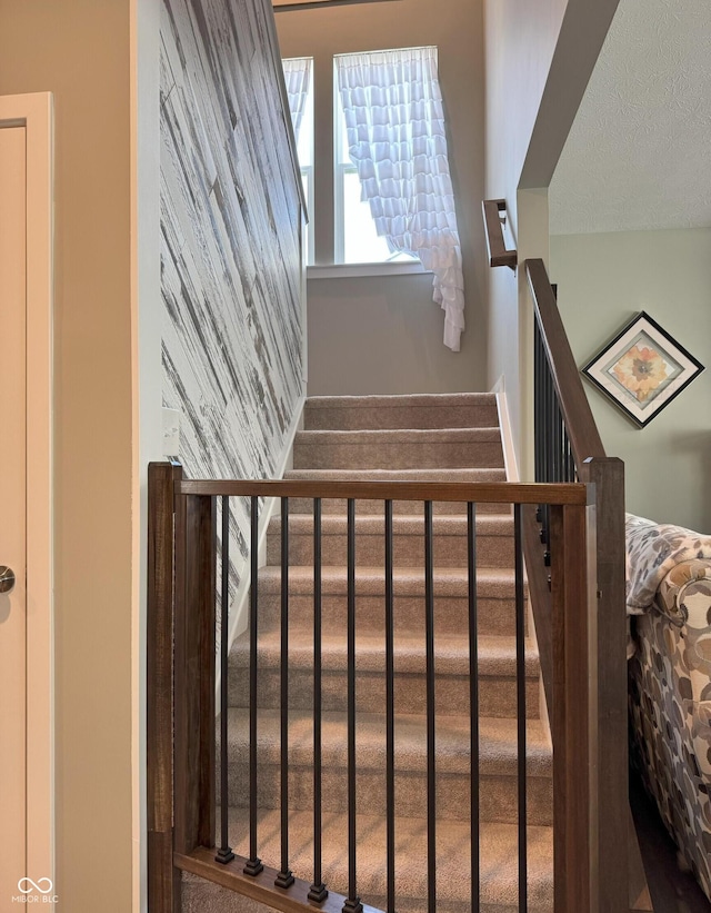 6861 Collisi Pl, Brownsburg, IN 46112 - photo 18