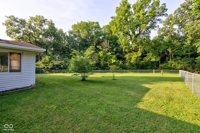11305 Indian Creek Rd, Indianapolis, IN 46236 - photo 34