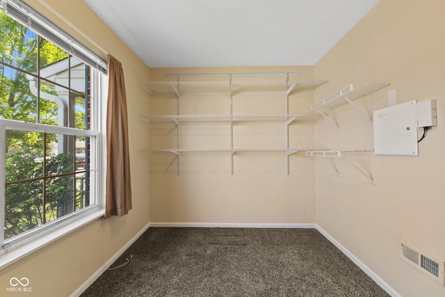 10847 Greenleaf Dr, Indianapolis, IN 46229 - photo 23