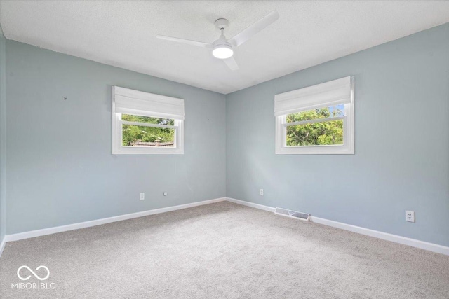 10004 Sumac Ln, Indianapolis, IN 46236 - photo 21