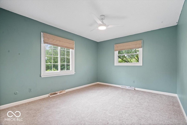 10004 Sumac Ln, Indianapolis, IN 46236 - photo 28