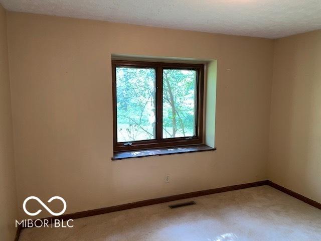 13264 N Forest Dr, Camby, IN 46113 - photo 22