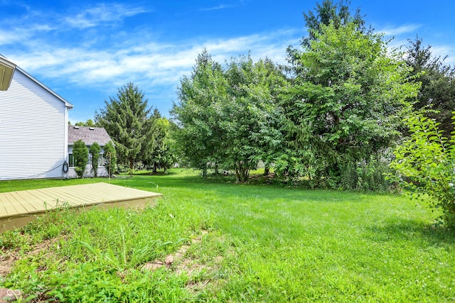 14501 Baldwin Ln, Carmel, IN 46032 - photo 27