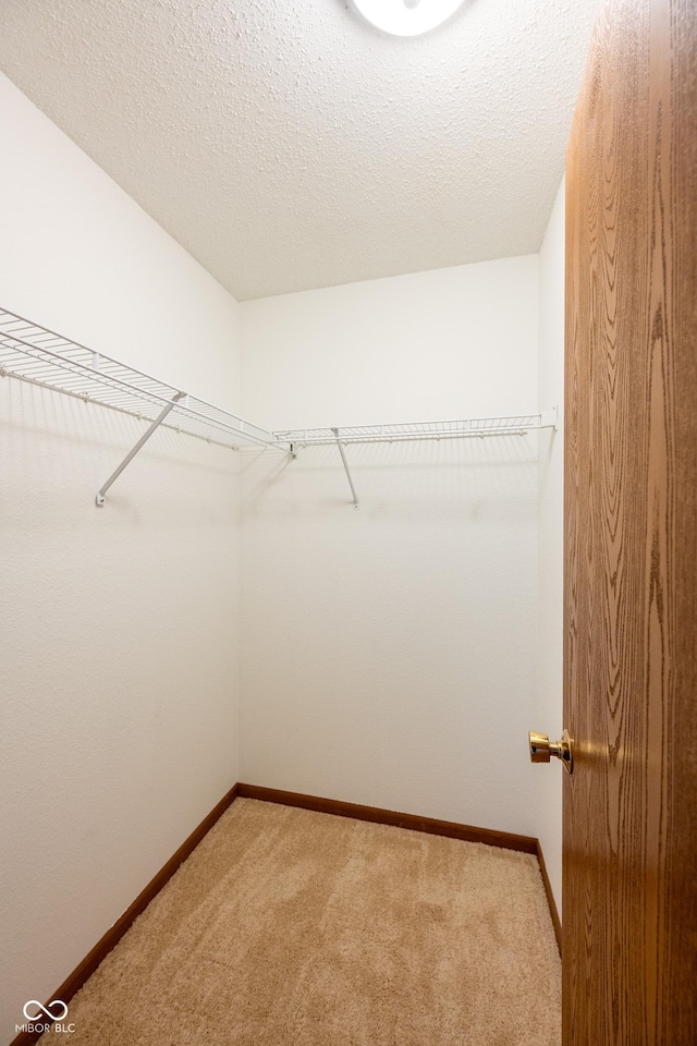 2818 Driving Wind Way, Indianapolis, IN 46268 - photo 16