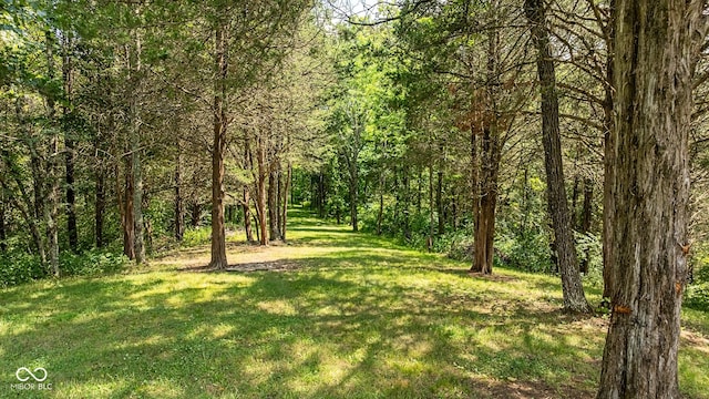 4616 Mathews Rd, Vevay, IN 47043 - photo 33