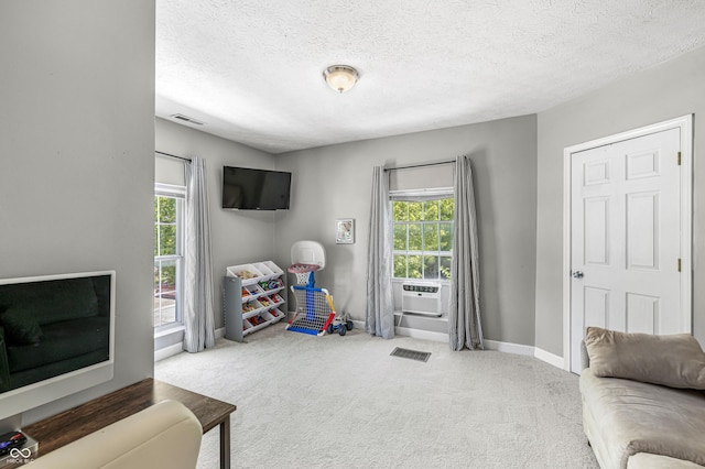 1145 Pleasant St, Indianapolis, IN 46203 - photo 20