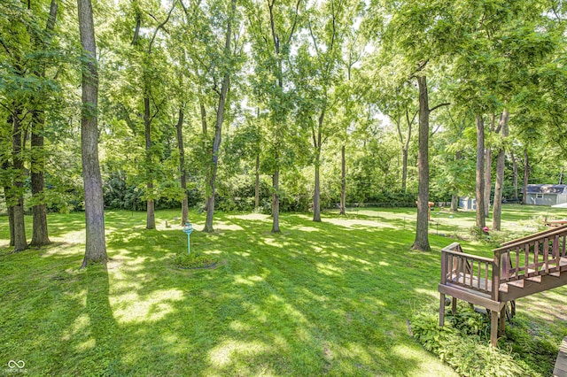 8710 Maple View Dr, Indianapolis, IN 46217 - photo 37