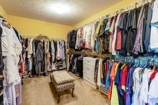 3242 Winings Ln, Carmel, IN 46074 - photo 21