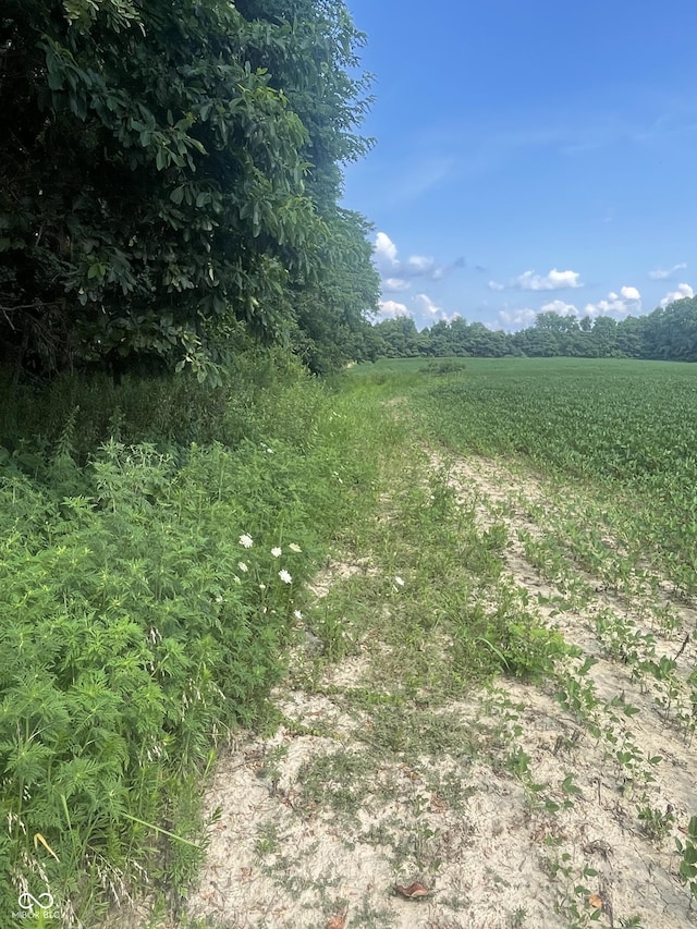 25146 Sanes Creek Rd, Laurel, IN 47024 - photo 21