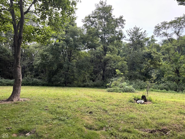 25146 Sanes Creek Rd, Laurel, IN 47024 - photo 20