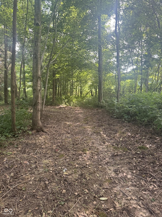 25146 Sanes Creek Rd, Laurel, IN 47024 - photo 27