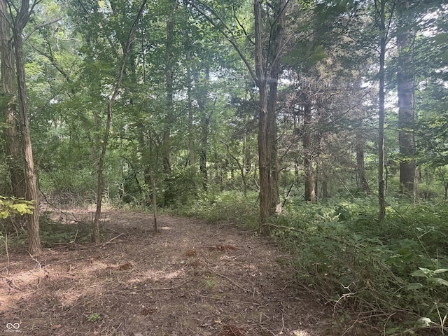 25146 Sanes Creek Rd, Laurel, IN 47024 - photo 25