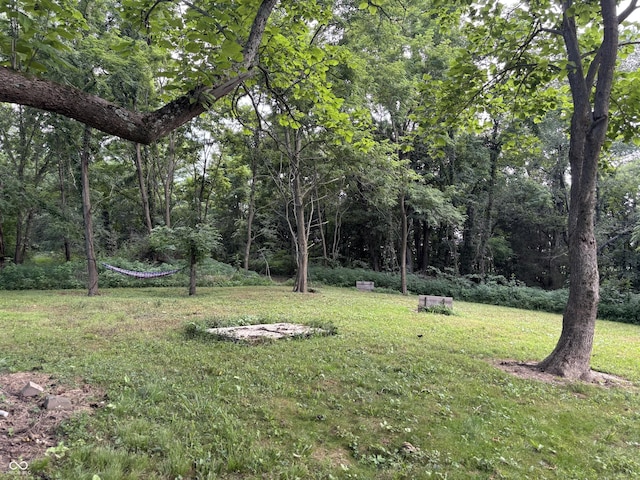 25146 Sanes Creek Rd, Laurel, IN 47024 - photo 19