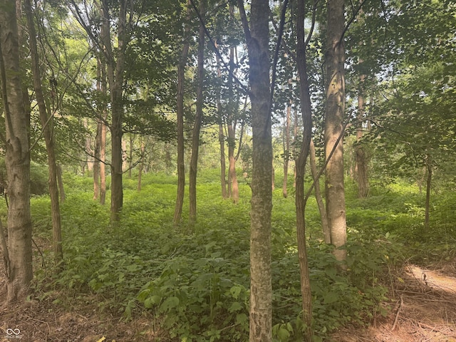 25146 Sanes Creek Rd, Laurel, IN 47024 - photo 24