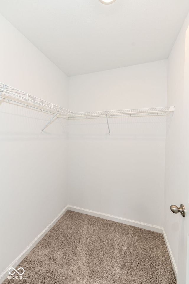 20105 Allegheny Ln, Westfield, IN 46074 - photo 24