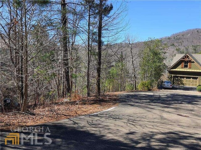 Listing photo 3 for 824 Osi Way, Big Canoe GA 30143