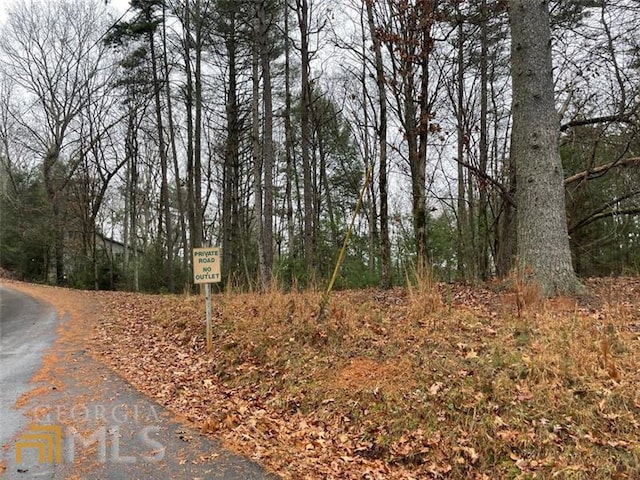 0 Sapulpa Ct, Ellijay GA, 30540 land for sale