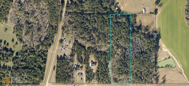 Listing photo 3 for 000 Flournoy Rd, Hawkinsville GA 31036