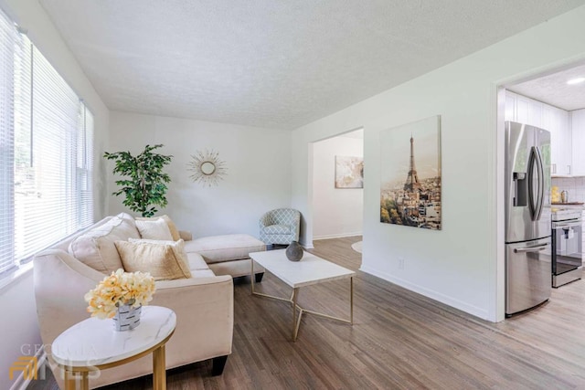 living room with a textured ceiling and hardwood / wood-style flooring