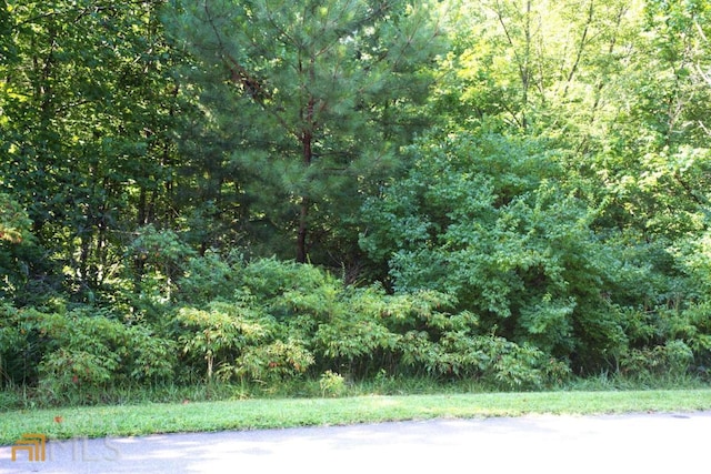 Listing photo 2 for 0 Redfield Way Lot 223, Jasper GA 30143