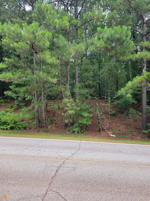 0 White Mill Rd, Fairburn GA, 30213 land for sale