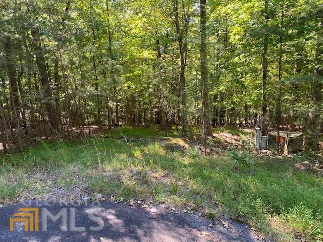 2971 Windsong Pt, Big Canoe GA, 30143 land for sale