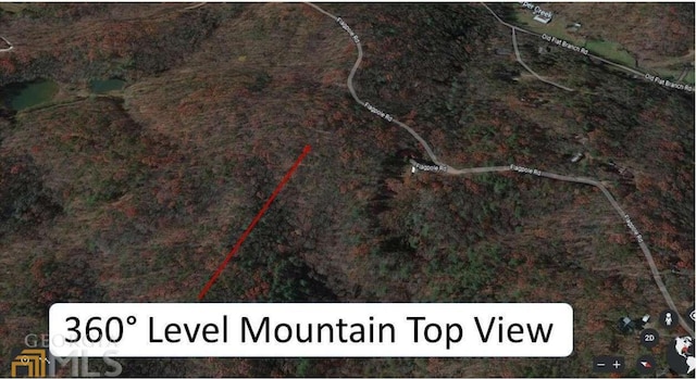 000 Flagpole Rd, Ellijay, GA 30540