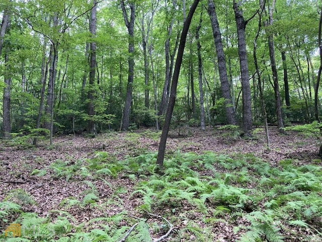 000 Flagpole Rd, Ellijay, GA 30540