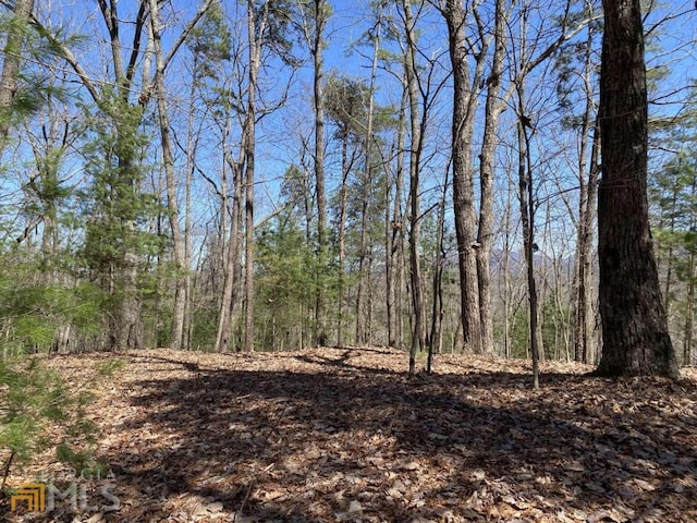 000 Flagpole Rd, Ellijay, GA 30540