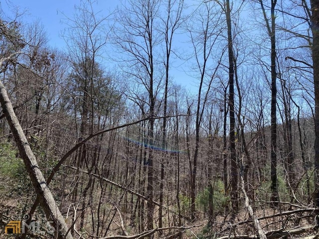 000 Flagpole Rd, Ellijay, GA 30540