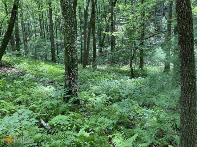 000 Flagpole Rd, Ellijay, GA 30540