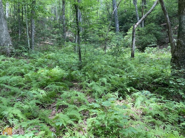 000 Flagpole Rd, Ellijay, GA 30540