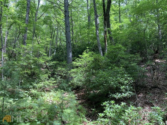 000 Flagpole Rd, Ellijay, GA 30540