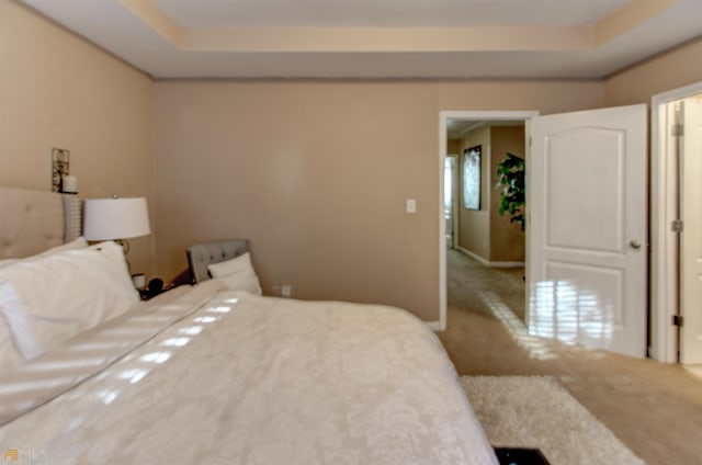 carpeted bedroom with a tray ceiling