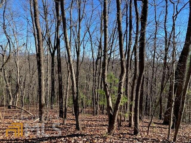 Listing photo 3 for LT4 Sunrock Mountain Trce Unit 4, Blue Ridge GA 30513