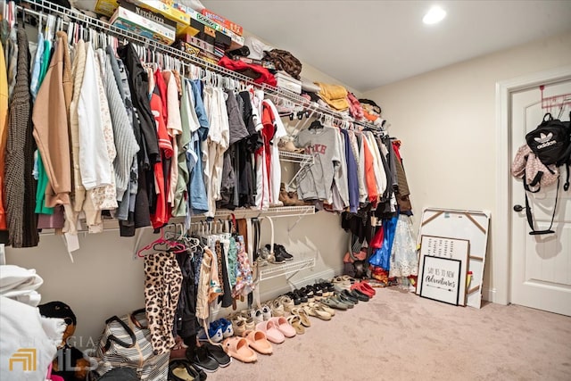 walk in closet featuring carpet flooring