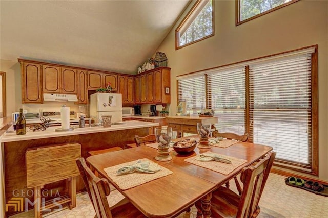 kitchen with a healthy amount of sunlight, white appliances, high vaulted ceiling, and sink