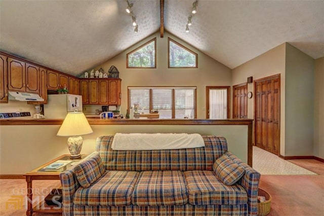 bedroom featuring white refrigerator, rail lighting, light carpet, a textured ceiling, and lofted ceiling