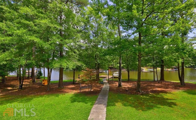 view of nearby features with a water view and a yard