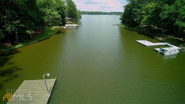 water view with a dock