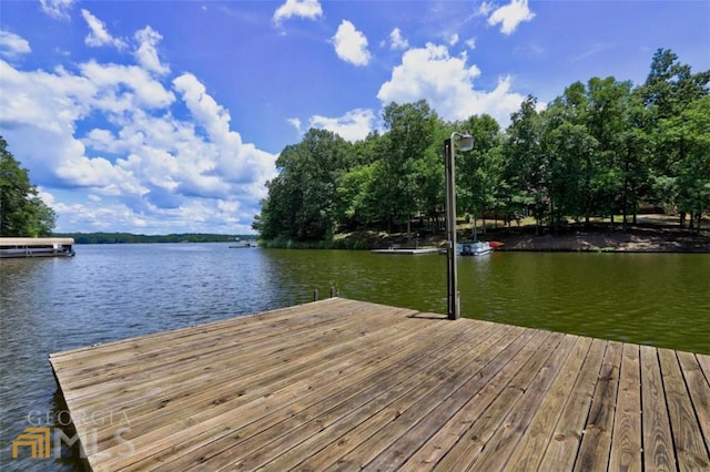 dock area featuring a water view