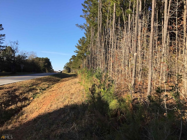 Listing photo 3 for NONE S Lester Mill Road Sw, Locust Grove GA 30248